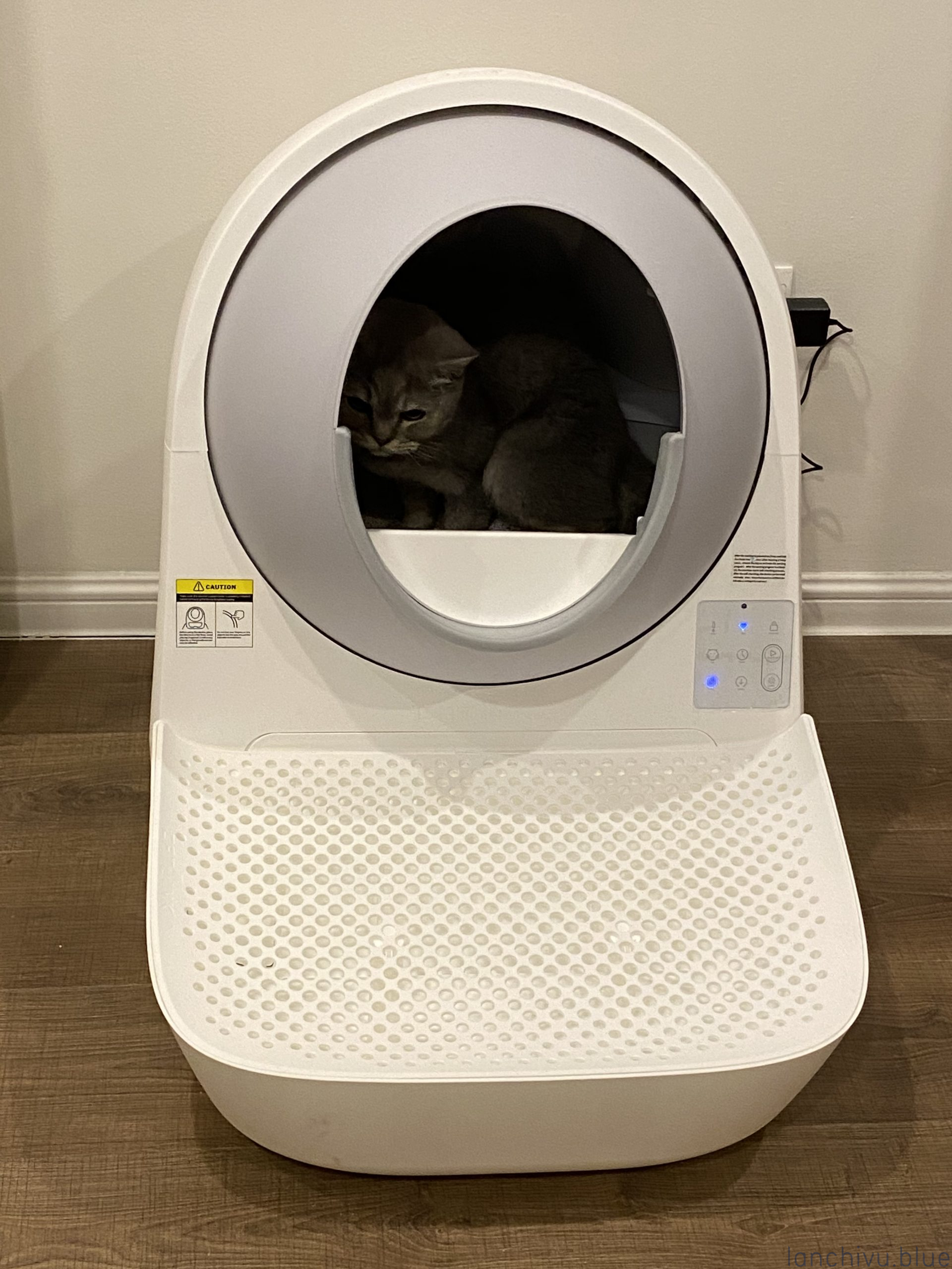 Máy dọn vệ sinh cho mèo tự động – có đáng tiền?